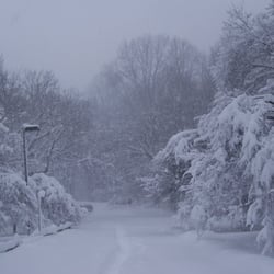 Westmoreland Hills Park
