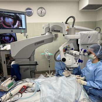 UC Davis Veterinary Teaching Hospital - During surgery (team of 9 people) - Veterinarians Near Me - Davis, California UC Davis Veterinary Teaching Hospital - During surgery (team of 9 people) - Veterinarians Near Me - Davis, California