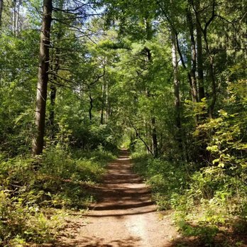 Doon Regional Forest - Parks Near Me - Kitchener, Ontario Doon Regional Forest - Parks Near Me - Kitchener, Ontario