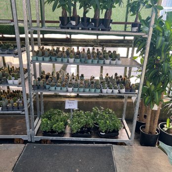 Evergreen Garden - Nurseries & Gardening Near Me - San Antonio, Texas