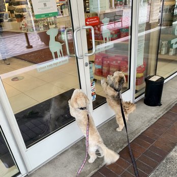 Healthy Spot - Long Beach - Pet Sitting Near Me - Long Beach, California
