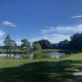 Amazing Tails - The amazing tails property is beautiful! So much room to run and play! - Pet Boarding Near Me - Englewood, Florida