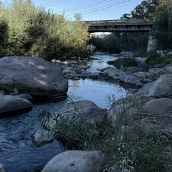 Foster Park - Little stream