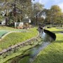 Sandwich Mini Golf