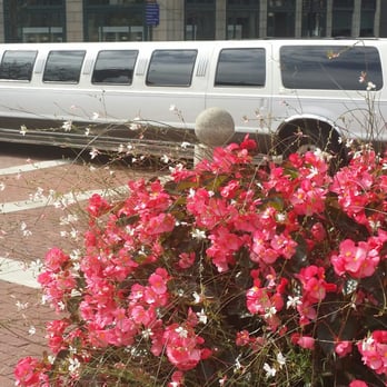 Carriage House Charters - Newest addition to carriage house charters limousines - Limos Near Me - Indianapolis, Indiana Carriage House Charters - Newest addition to carriage house charters limousines - Limos Near Me - Indianapolis, Indiana