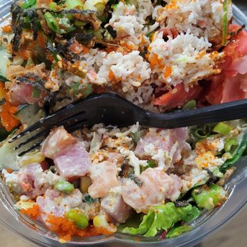 Pokeplus - Salmon and tuna poke with salad and rice - only those few pieces of proteins in the entire bowl. - Poke Near Me - Forest Hills, New York