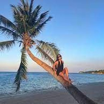 Leaning Coconut Tree of Boracay - Landmarks & Historical Buildings Near Me - Malay