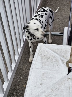 LA County Fair by null