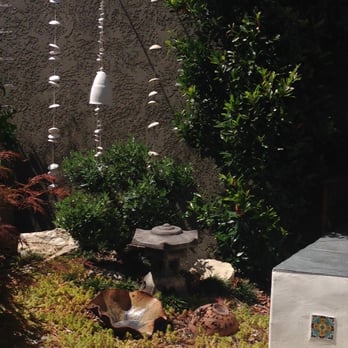 New Leaf - a cat laying in a garden - Landscaping Near Me - Long Beach, California New Leaf - a cat laying in a garden - Landscaping Near Me - Long Beach, California