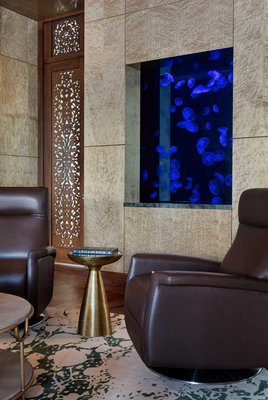 Jellyfish Art by null