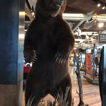 YETI Flagship Store - One that I wouldn't want to meet in real life. - Hunting & Fishing Supplies Near Me - Austin, Texas YETI Flagship Store - One that I wouldn't want to meet in real life. - Hunting & Fishing Supplies Near Me - Austin, Texas