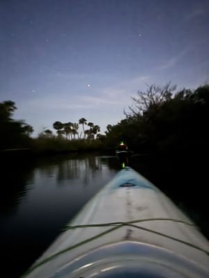 A Day Away Kayak Tours by null