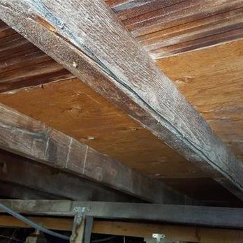 Titus Inspections - Home Inspectors Near Me Titus Inspections - Home Inspectors Near Me