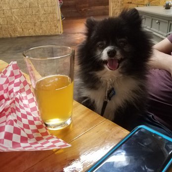 Omaha Brewing Company - #2 Lager and a happy pom pom who would probably down that beer of we turned away. - Breweries Near Me - Omaha, Georgia