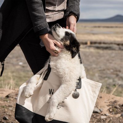 Will Leather Goods by null