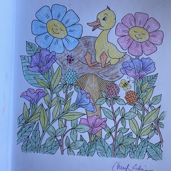 The Iris Inn - My coloring masterpiece using the adult coloring book and pencils in the room. So relaxing! - Hotels Near Me - Waynesboro, Virginia The Iris Inn - My coloring masterpiece using the adult coloring book and pencils in the room. So relaxing! - Hotels Near Me - Waynesboro, Virginia