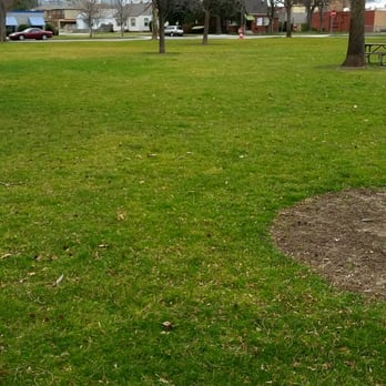 Fairview Park - Green grass and lots of trees. ..what's not to like? - Parks Near Me - Boise, Idaho