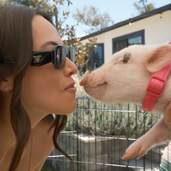 Picture Perfect Ponys - Petting Zoos Near Me - Fallbrook, California