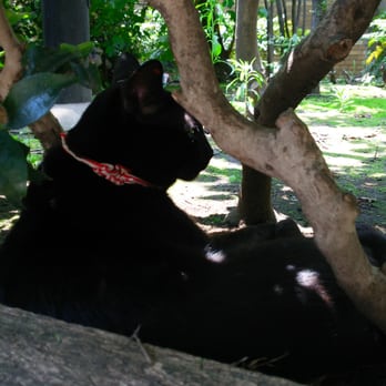 東池袋中央公園 12 Photos 東池袋3 1 6 豊島区 東京都 Japan Yelp