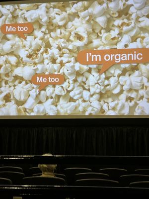 Cinema Arts Centre by null