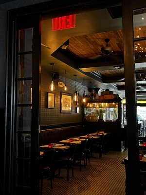 The Brooklyn Firefly by null