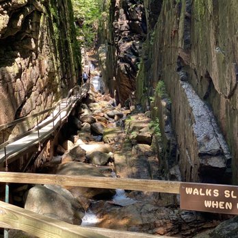 The Flume Gorge - Parks Near Me - Lincoln, New Hampshire The Flume Gorge - Parks Near Me - Lincoln, New Hampshire