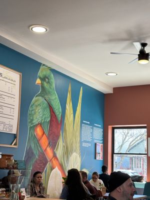 Anticonquista Café (Pilsen) by null