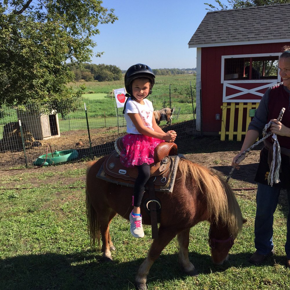 Luceline Orchard - Pony rides for $5 - CSA Near Me - Watertown, Minnesota