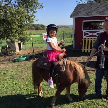 Luceline Orchard - Pony rides for $5 - CSA Near Me - Watertown, Minnesota Luceline Orchard - Pony rides for $5 - CSA Near Me - Watertown, Minnesota