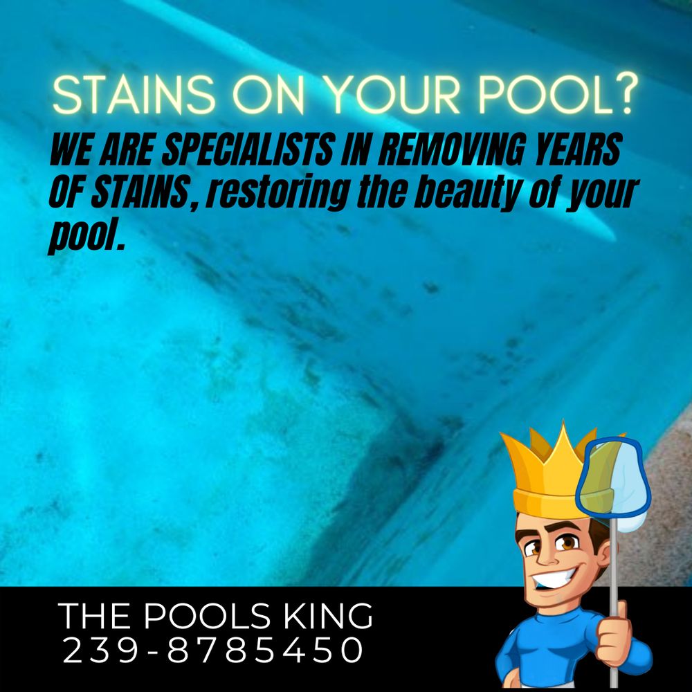 THE POOLS KING Updated June 2024 16 Photos Cape Coral, Florida