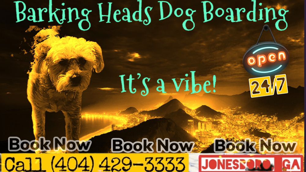 BARKING HEADS DOG BOARDING Updated July 2024 54 Photos Jonesboro