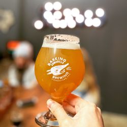 Barking Armadillo Brewing - Happy National IPA Day!