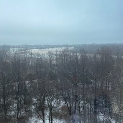 View from the room