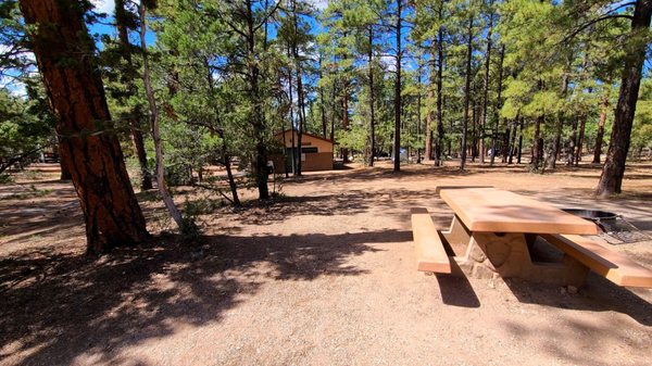 Mather Campground by null