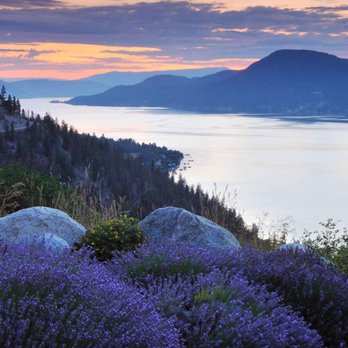 AA Septic Services - Septic Services Near Me - West Kelowna, British Columbia AA Septic Services - Septic Services Near Me - West Kelowna, British Columbia