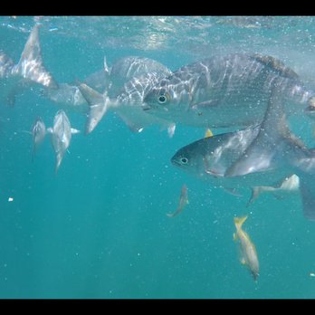 Capt Andy's - Boat Tours Near Me - Ele'ele, Hawaii