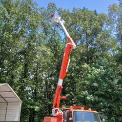 Reese Resolution - Give us a call for tree services