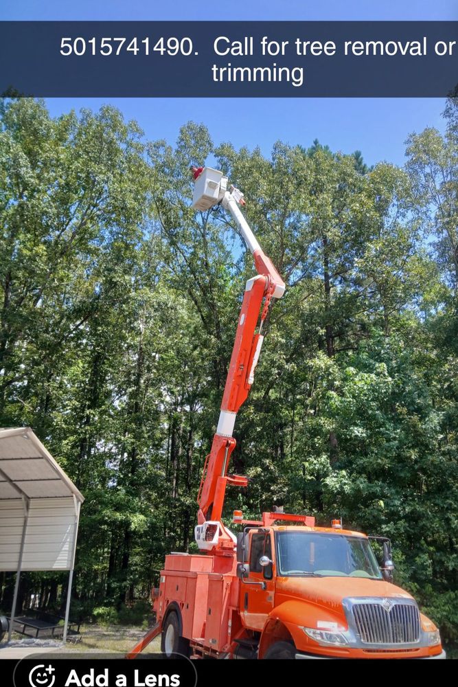 Reese Resolution - tree service in North Little Rock, AR