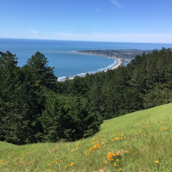 Matt Davis Trail - View up here is awesome, couldn't ask for a nicer day. - Parks Near Me - Stinson Beach, California Matt Davis Trail - View up here is awesome, couldn't ask for a nicer day. - Parks Near Me - Stinson Beach, California