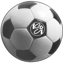 Soccer Institute - The Soccer Institute - TSI Ball