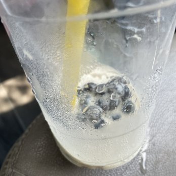 Oasis Coffee Spot - Coffee & Tea Near Me - New Port Richey, Florida