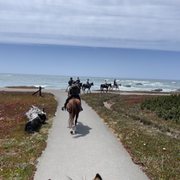 RICOCHET RIDGE RANCH - 144 Photos & 157 Reviews - Tours - 24201 N Hwy 1 ...