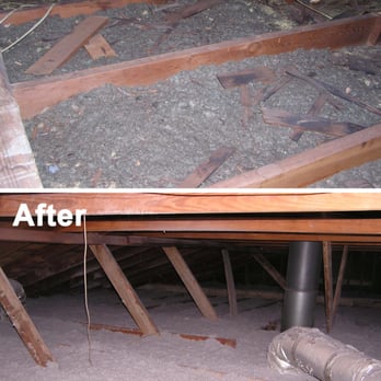 Payless Insulation - Before and After Attic: Cellulose Insualtion - Insulation Installation Near Me - Austin, Texas Payless Insulation - Before and After Attic: Cellulose Insualtion - Insulation Installation Near Me - Austin, Texas