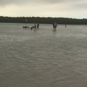Dog Beach - Fun - Beaches Near Me - Fort Myers Beach, Florida
