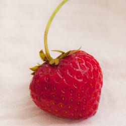 Loretelli Farms - $2 for a basket of sweet strawberries is such a treat!