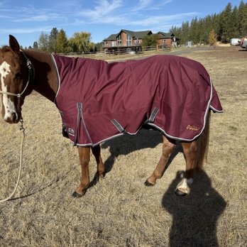 Mathisen Equine Transport - Pet Transportation Near Me Mathisen Equine Transport - Pet Transportation Near Me