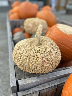 Fishkill Farms by null