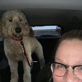 Dog Dayze - On our way to Dog Dayze - Pet Boarding Near Me - Bolingbrook, Illinois Dog Dayze - On our way to Dog Dayze - Pet Boarding Near Me - Bolingbrook, Illinois