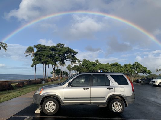 LUCKY OWL CAR RENTAL - 159 Photos & 410 Reviews - 852 Mapunapuna St