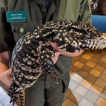 Rainforest Reptile Shows - Party & Event Planning Near Me - Beverly, Massachusetts